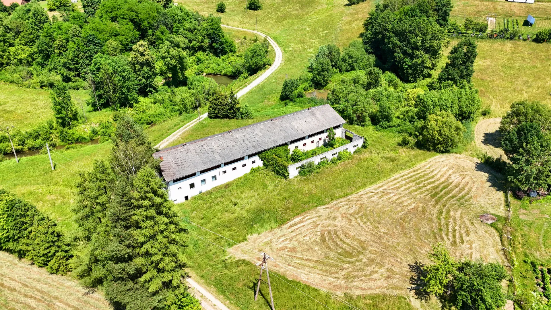Stadnina koni Nowa Wieś/ Bircza 2