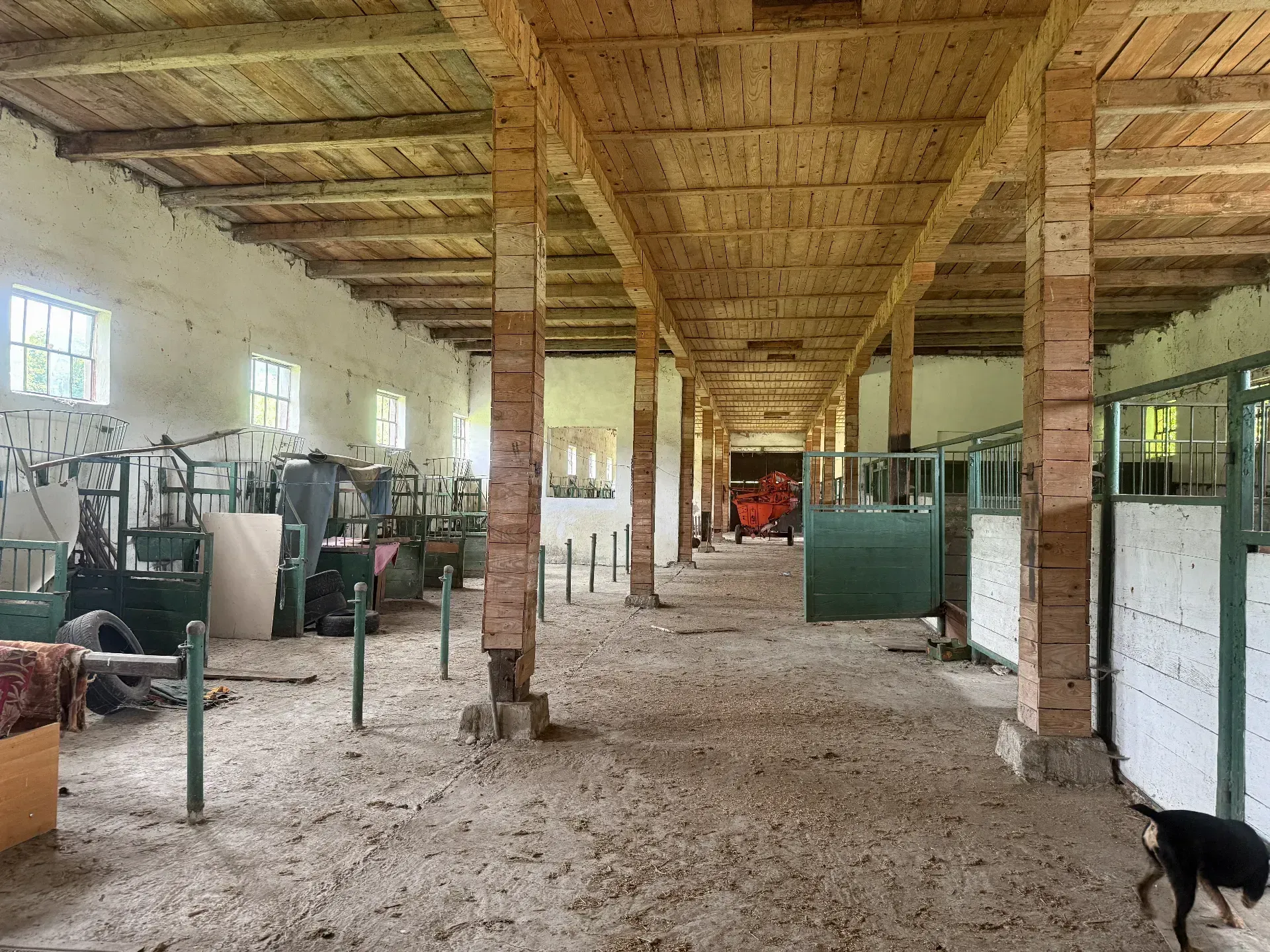 Stadnina koni Nowa Wieś/ Bircza 7