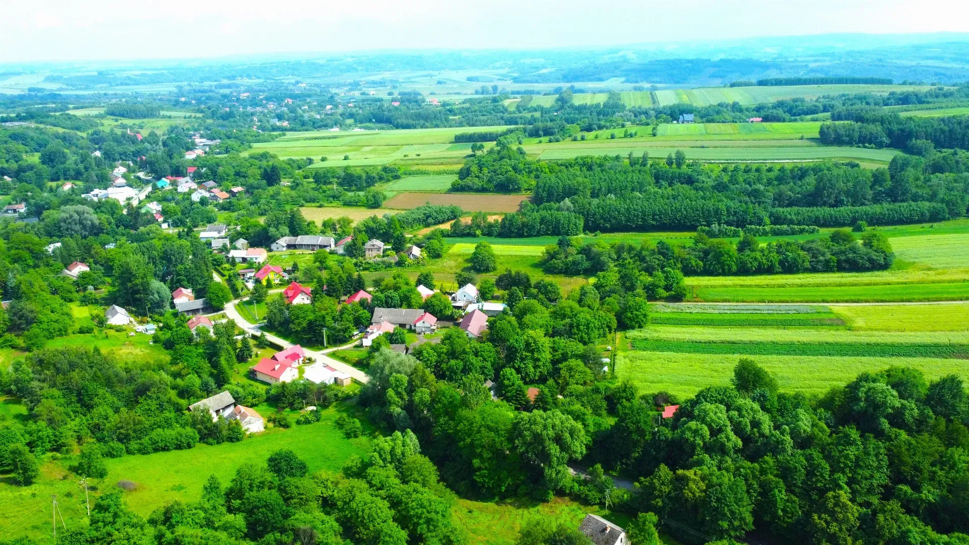 Dom na sprzedaż Siedleczka 4