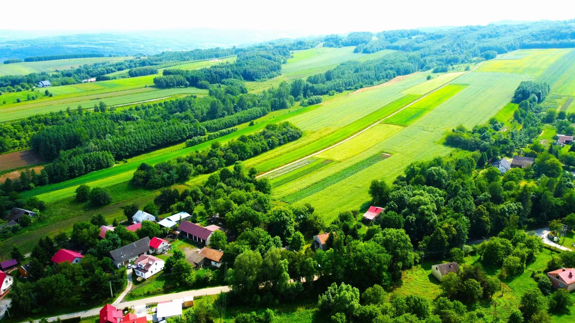 Dom na sprzedaż Siedleczka 6