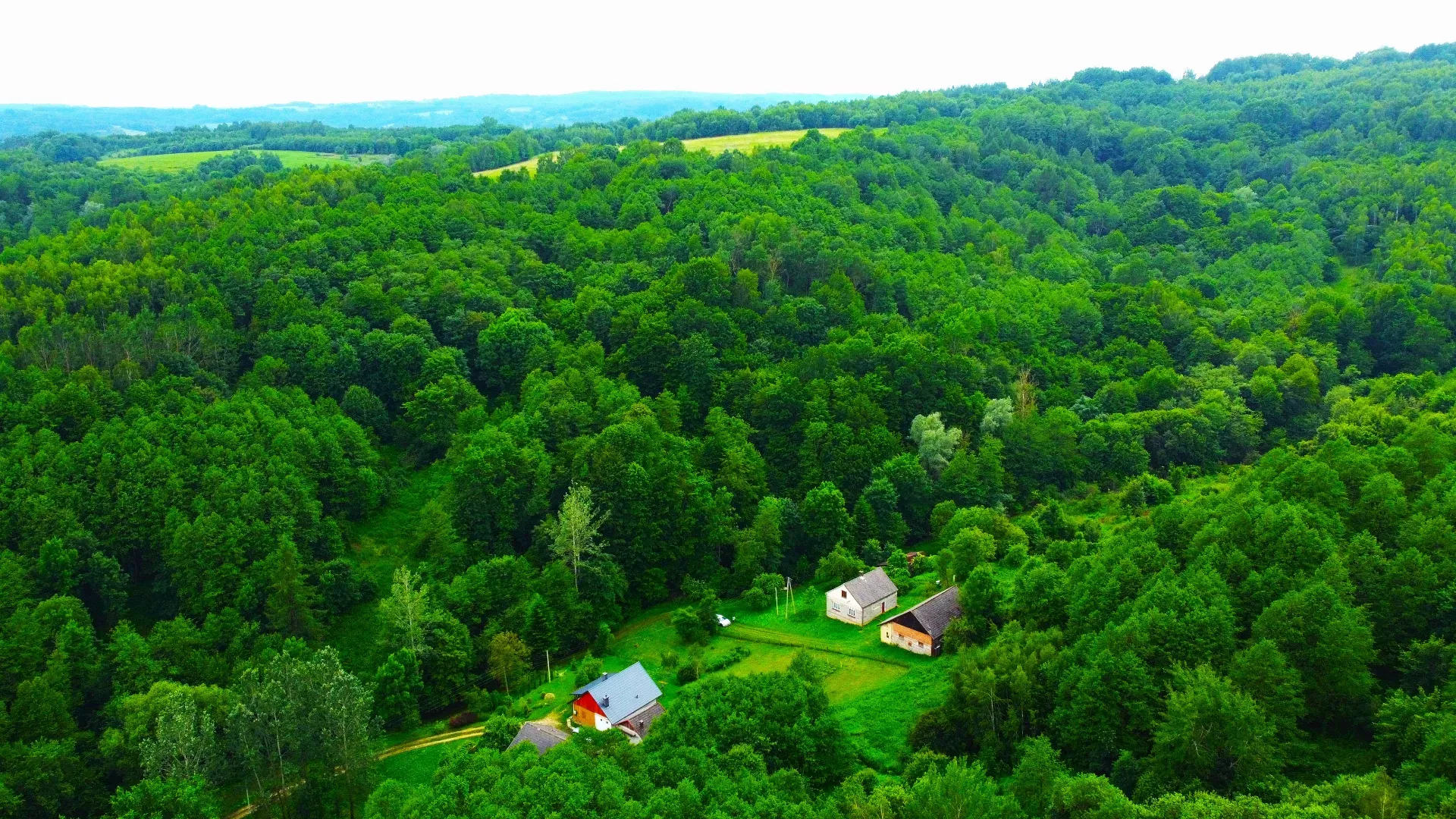 Siedlisko na sprzedaż Hadle Kańczuckie 6