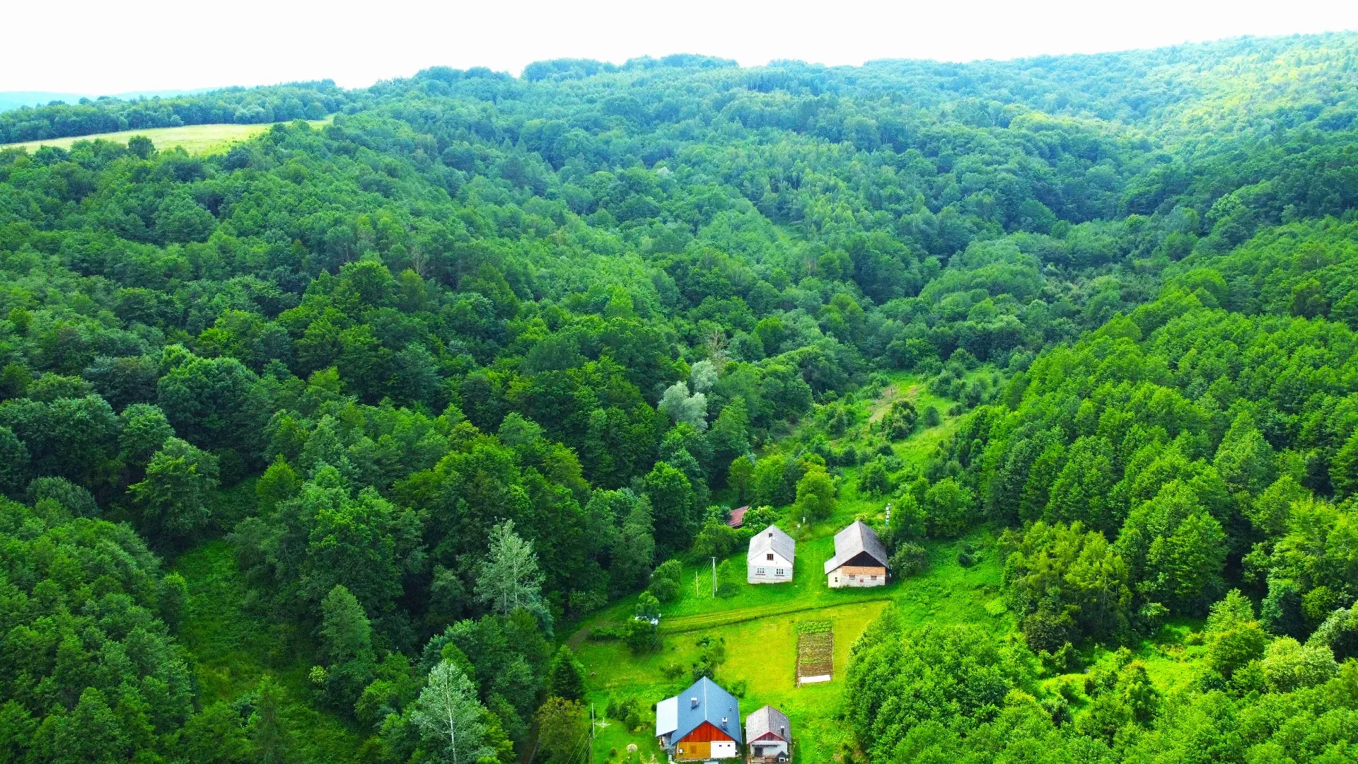 Siedlisko na sprzedaż Hadle Kańczuckie 12