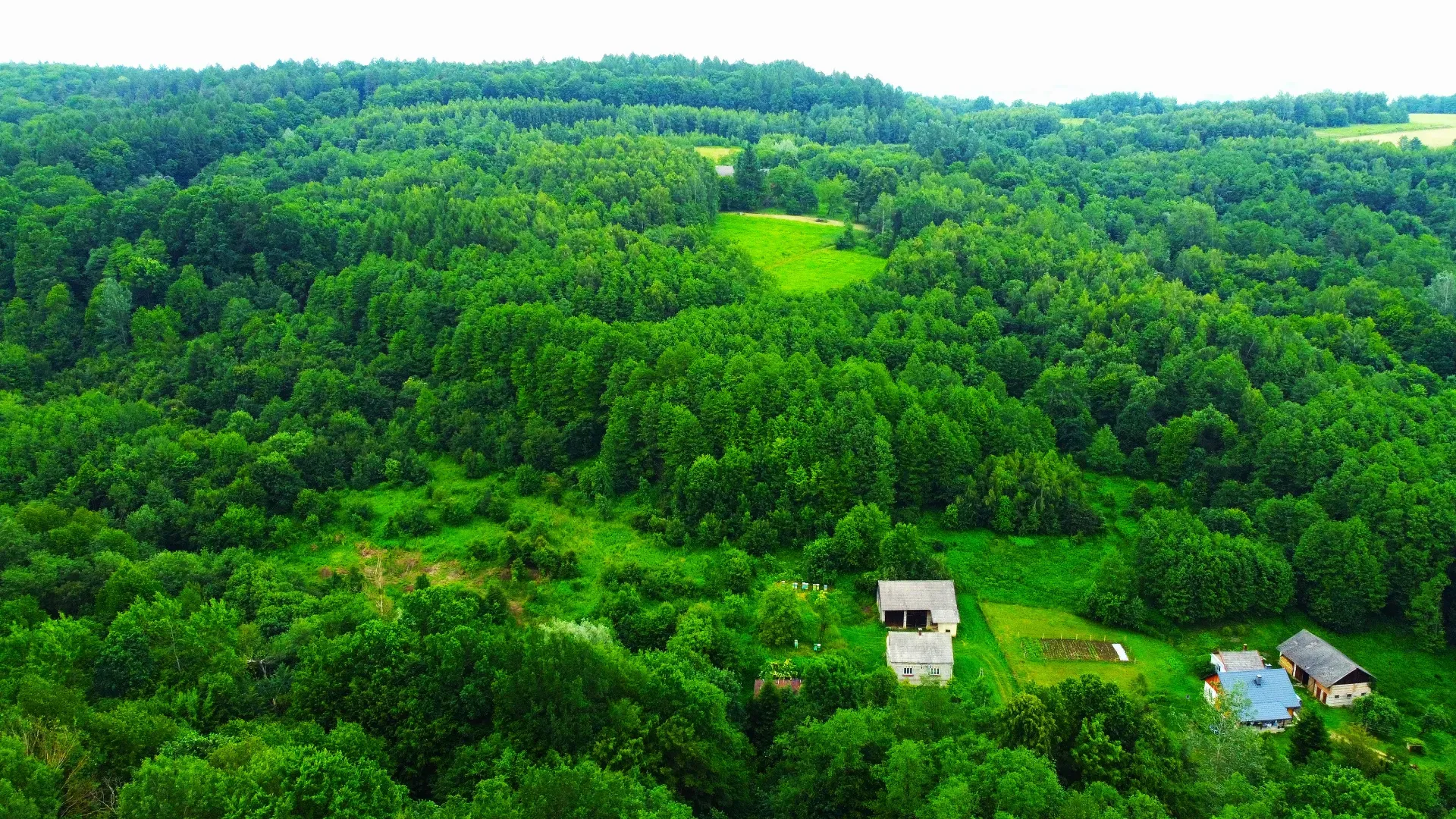 Siedlisko na sprzedaż Hadle Kańczuckie 13