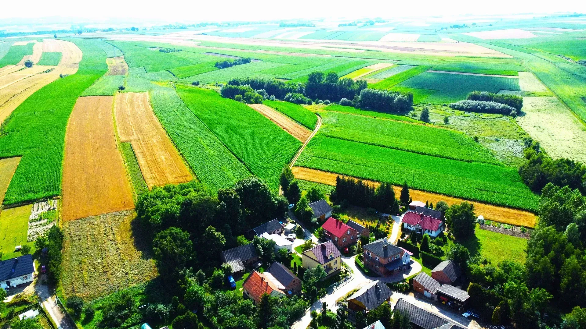 Dom w super cenie Dębów 13